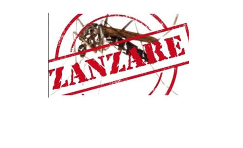 lotta alle zanzare   consigli utili